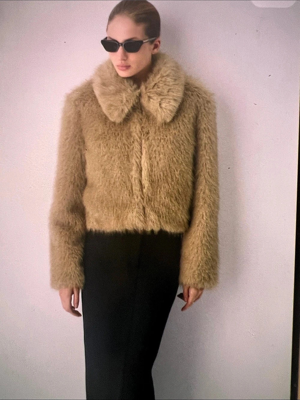 Aritzia Fur coat